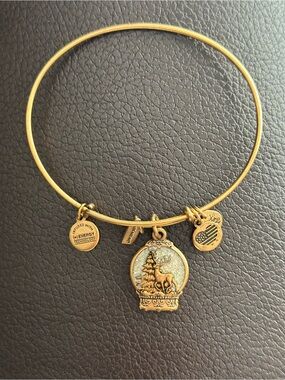 Alex and Ani bracelet